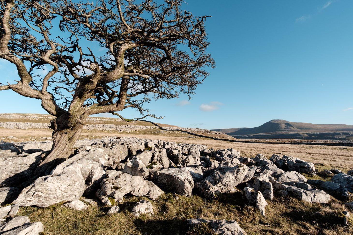 Footprints over Ingleborough