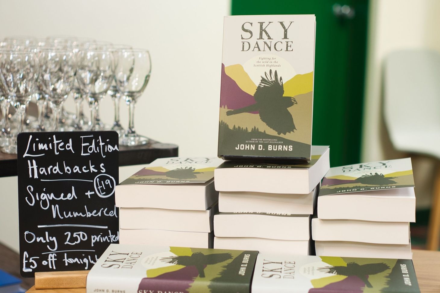 Sky Dance by John D. Burns – why this book was my top project for 2019