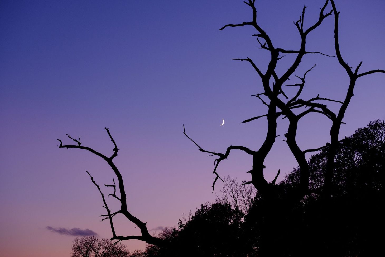 The Blue Hour